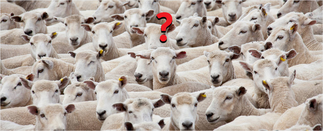 10. Your website looks like everyone else’s Your website looks like everyone else’s