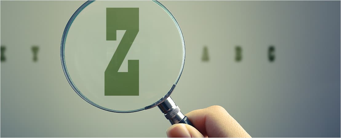 26. Z is for Zoom
