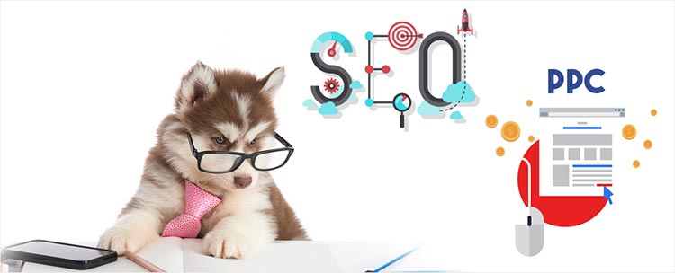 3-how-is-seo-different-to-ppc How is SEO different to PPC?