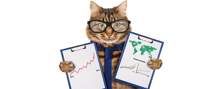 9-is-seo-right-for-my-business Is SEO right for my business?