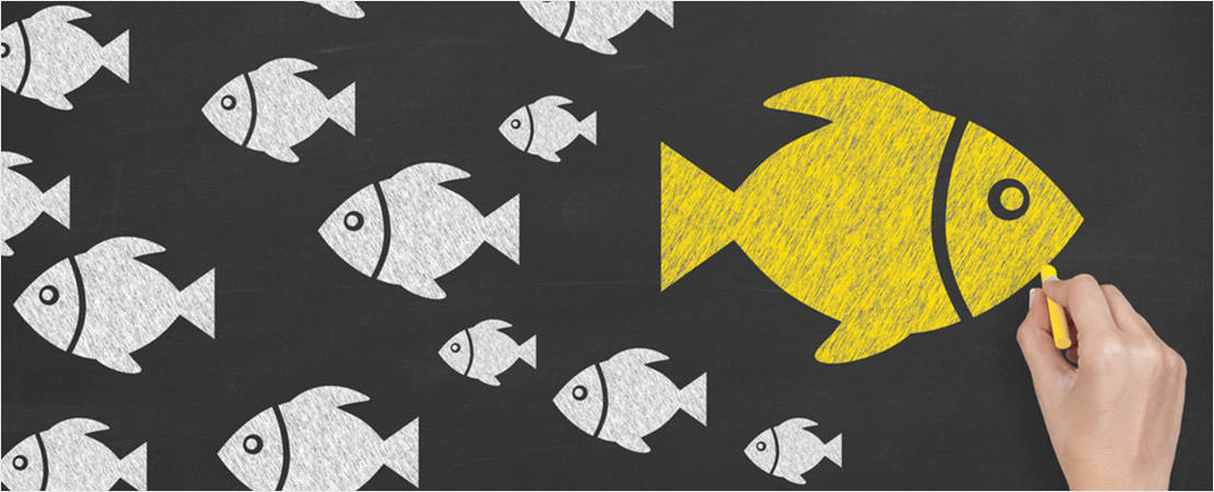 9. Your business and_or brand has changed Your business and/or brand has changed